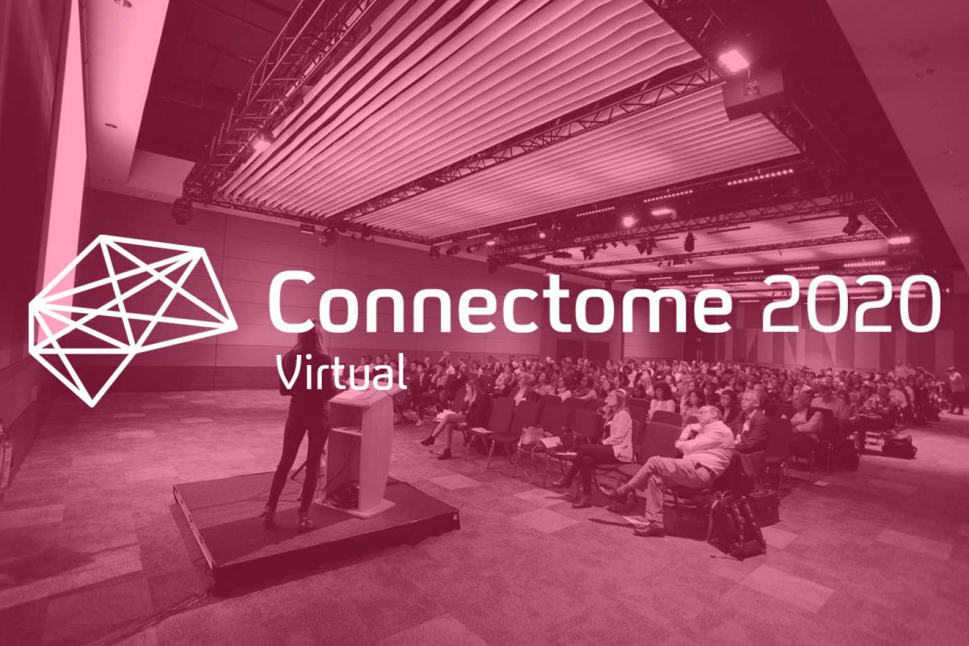 Connectome 2020 Logo Image Virtual