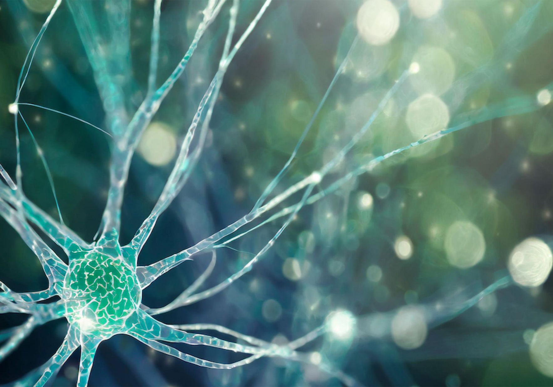 Biomarkers For Neurodegenerative Diseases Main