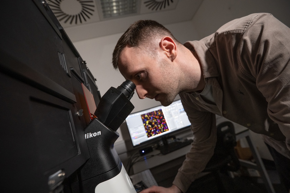 Scientist looks down a microscope