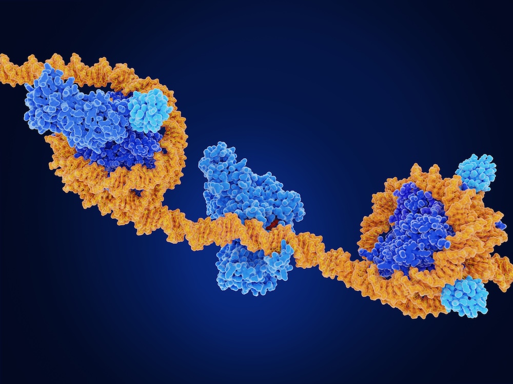 Histone proteins wrapped around DNA illustration