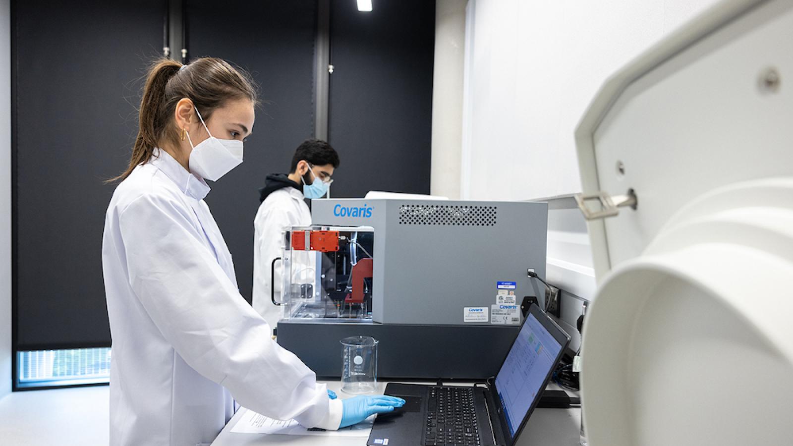 Researcher at a computer