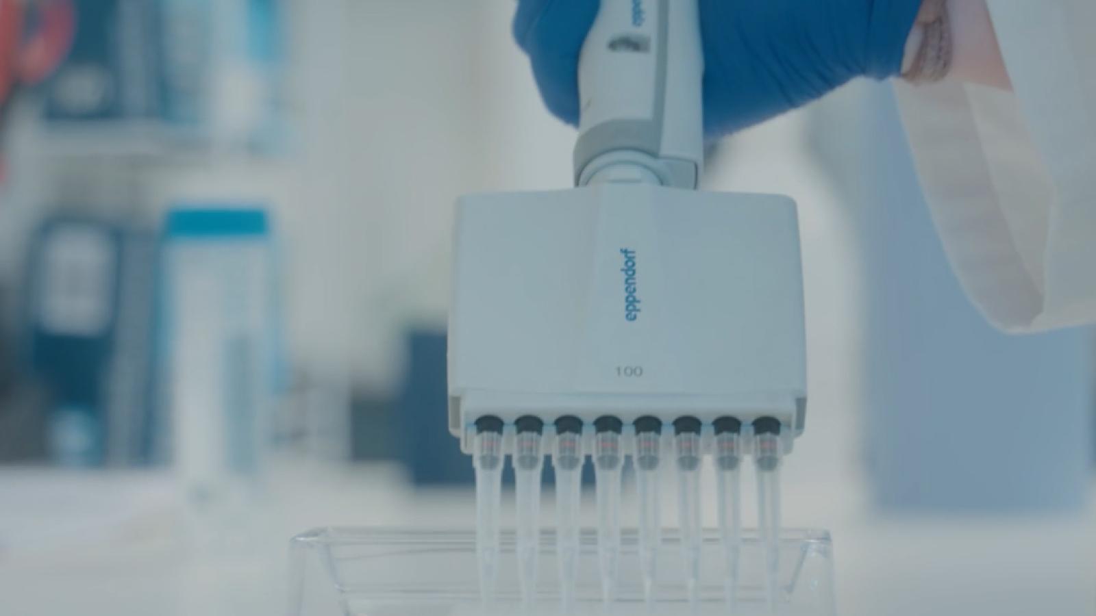 A multi-channel pipette
