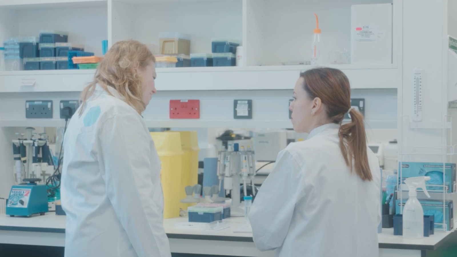 Researchers in the lab