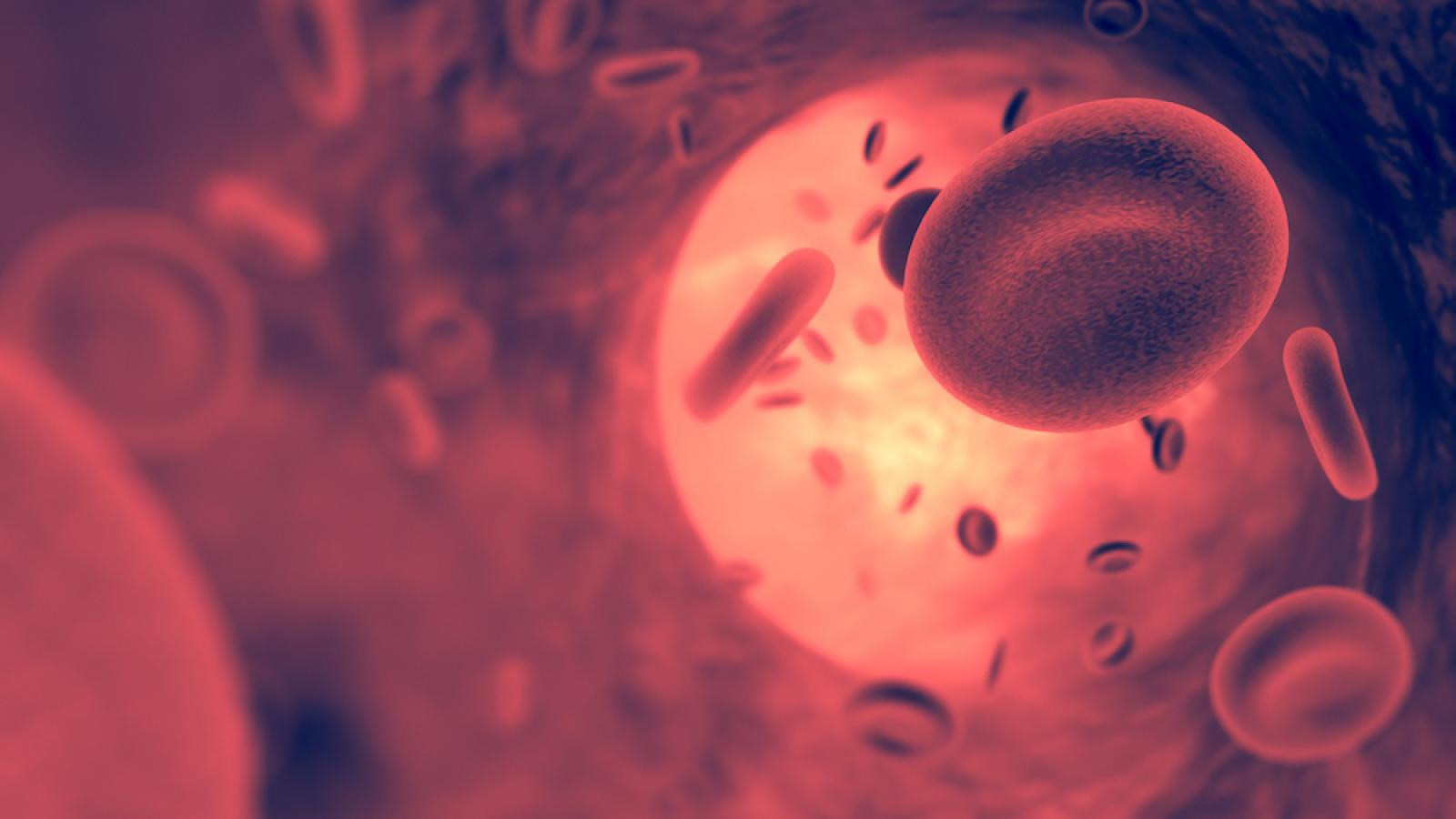 Illustration of red blood cell in vessel