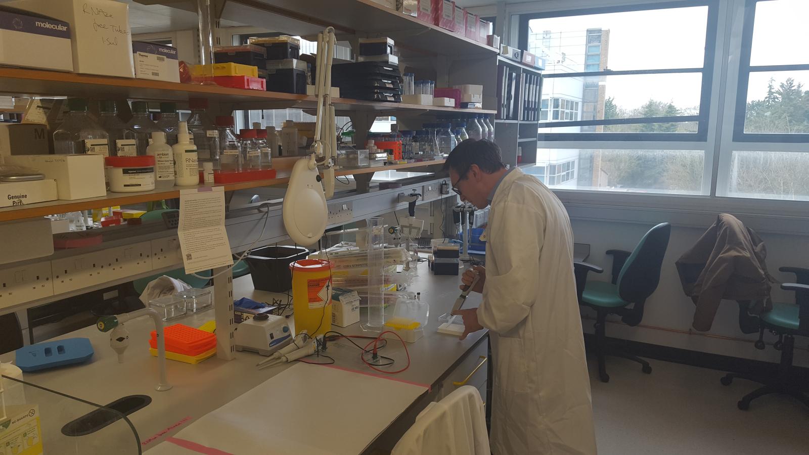 Scientist at a lab bench