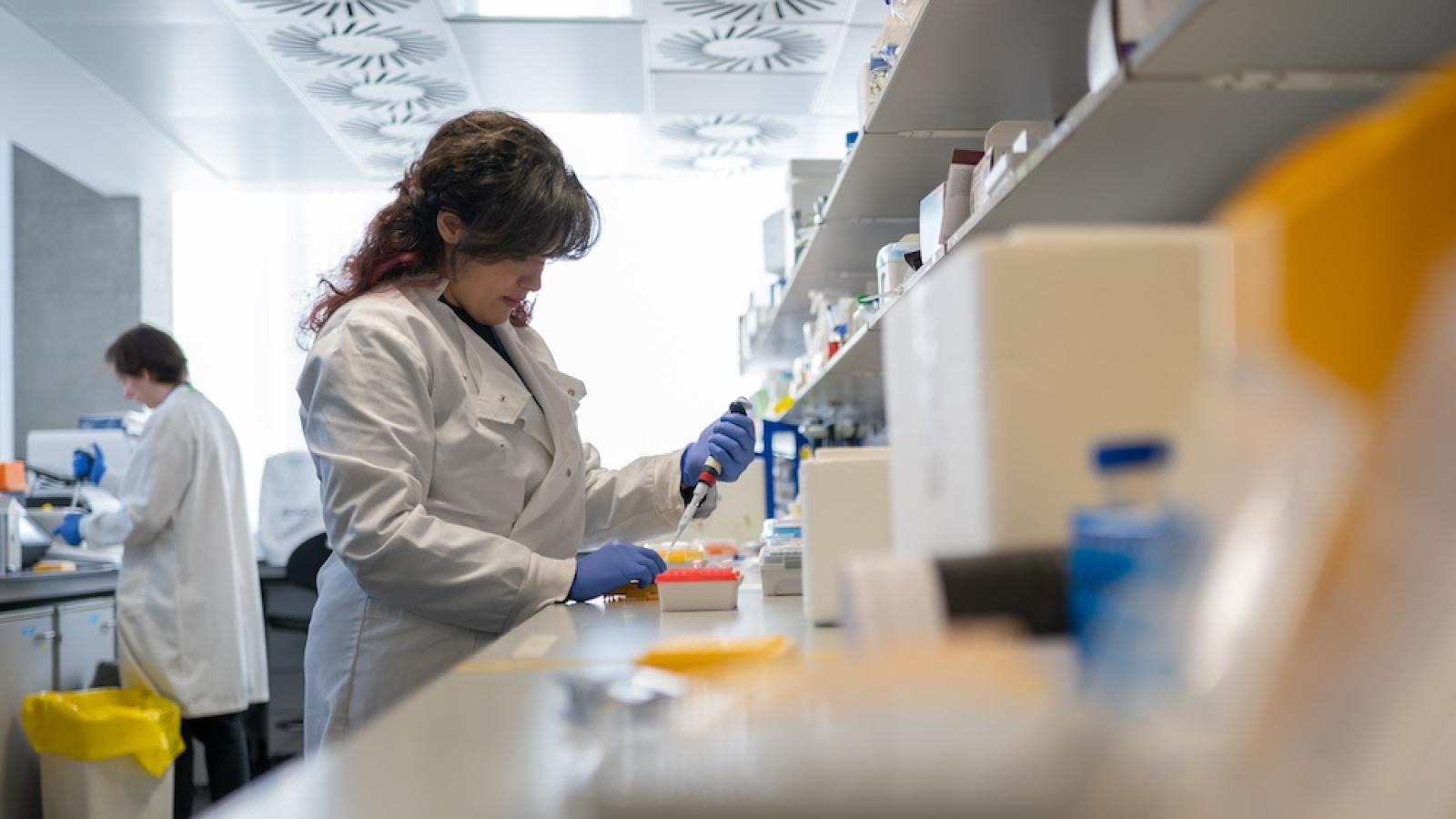 Scientist at a lab bench