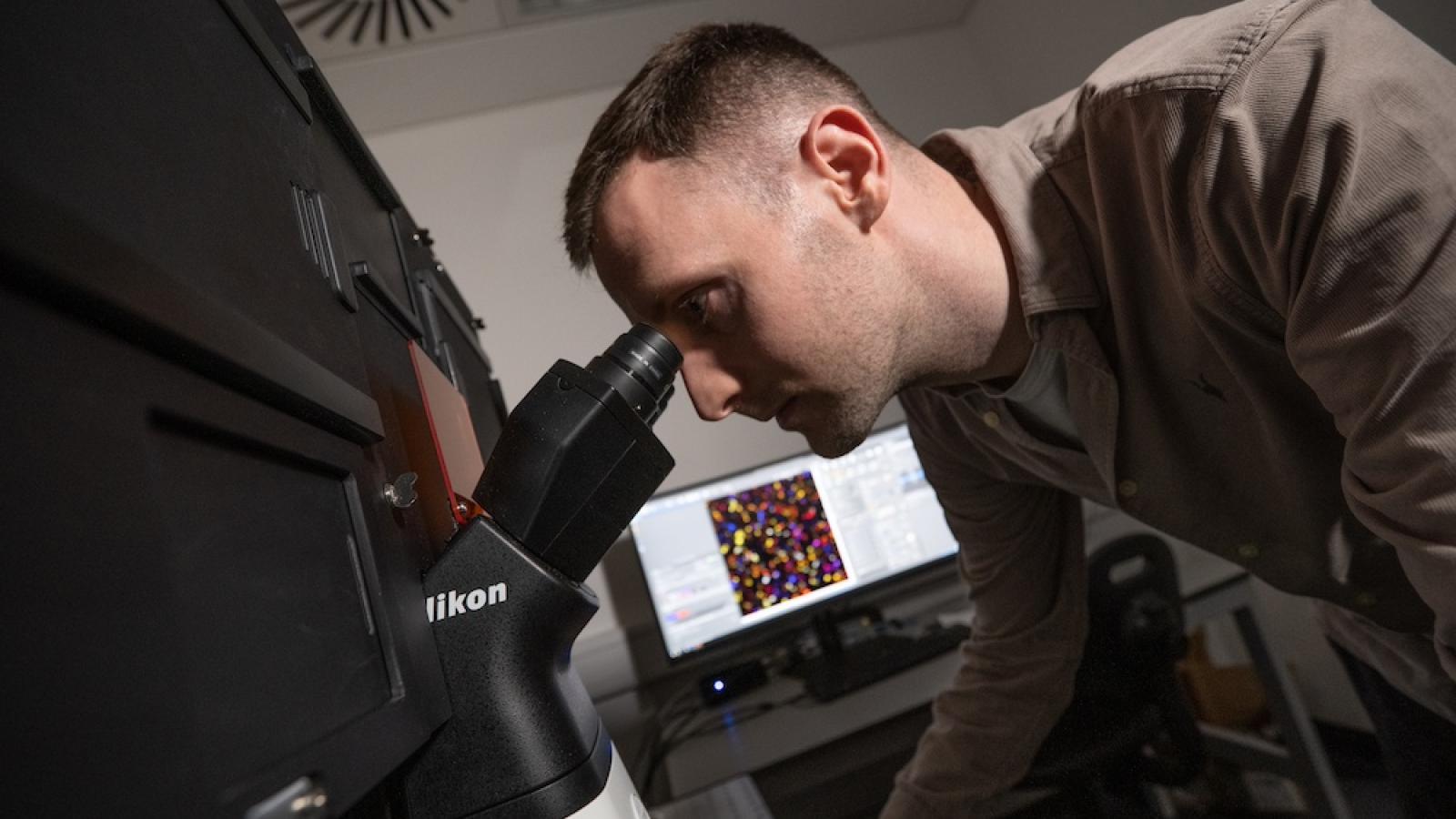 Scientist looks down a microscope