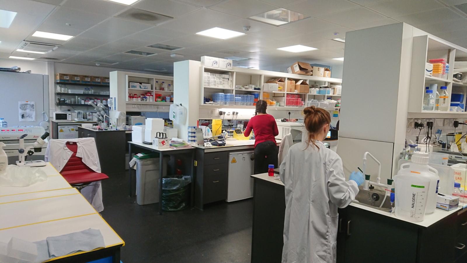 Scientist at a lab bench