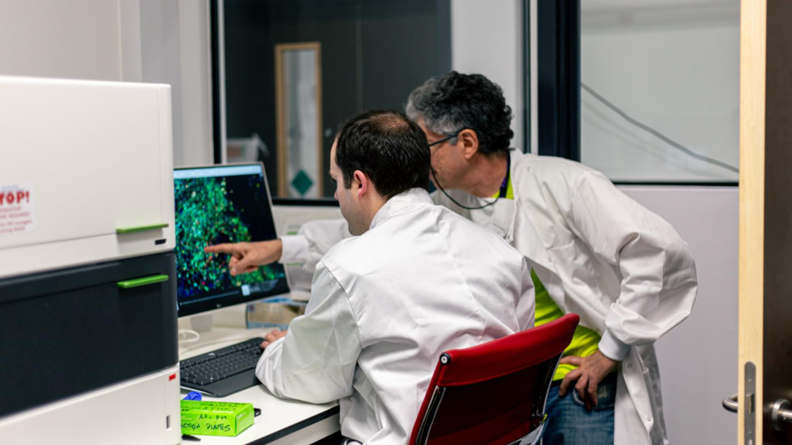 Scientists analyze colorful cellular image on computer screen.