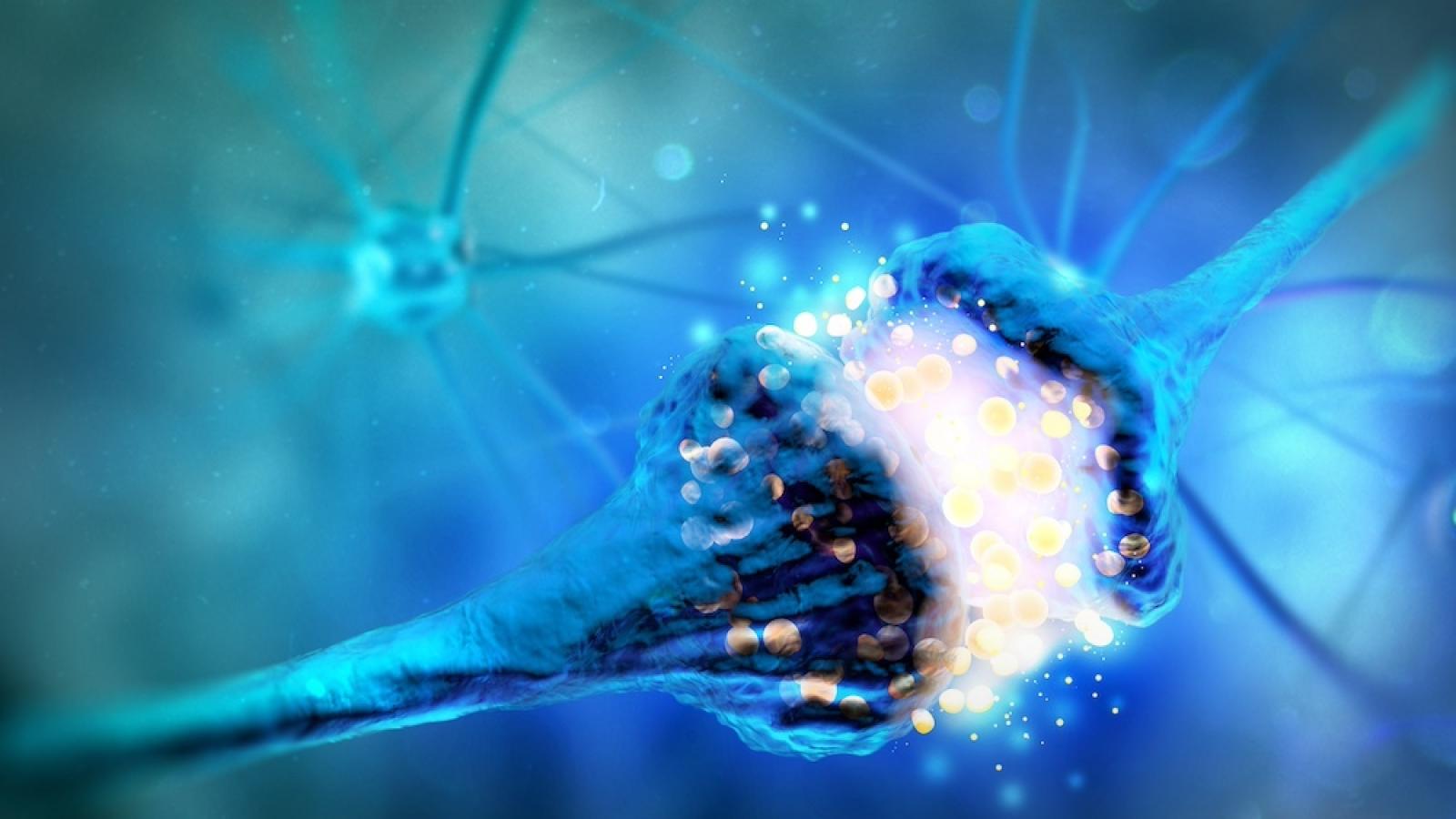 Image showing a synapse 