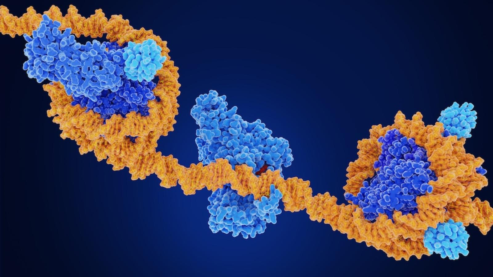 Histone proteins wrapped around DNA illustration
