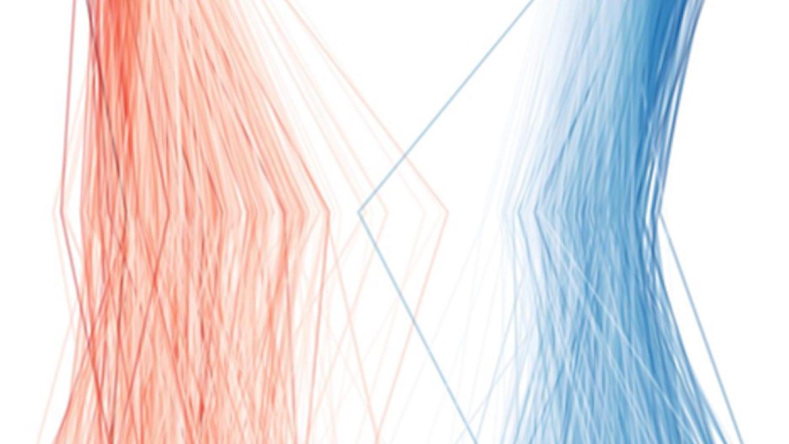 Graphic of red and blue lines