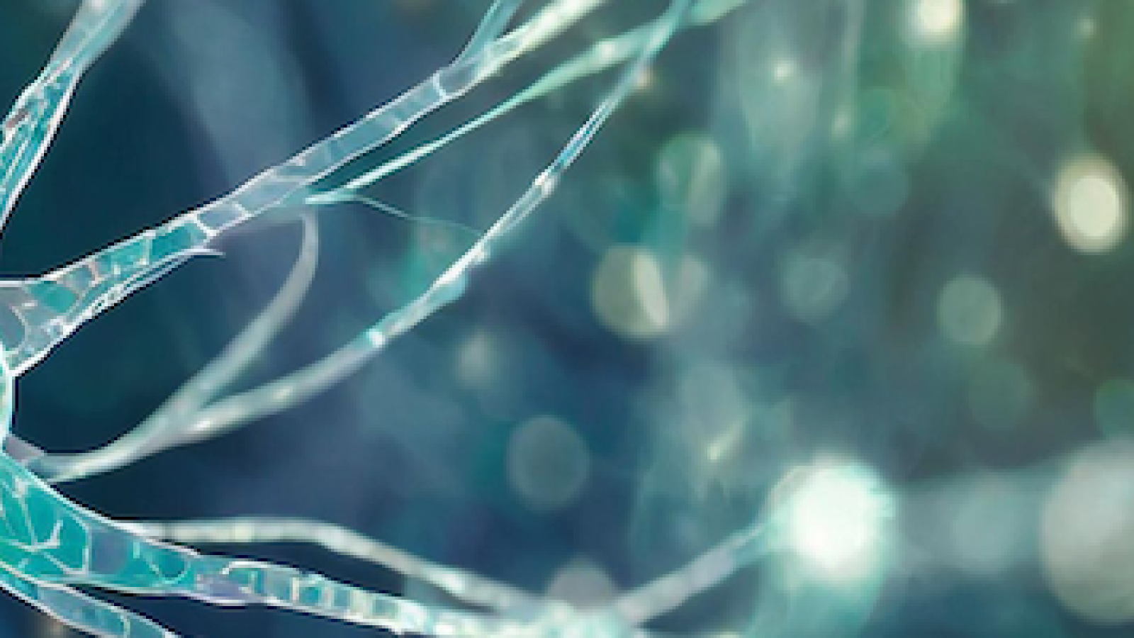 Biomarkers for neurodegeneration diseases banner