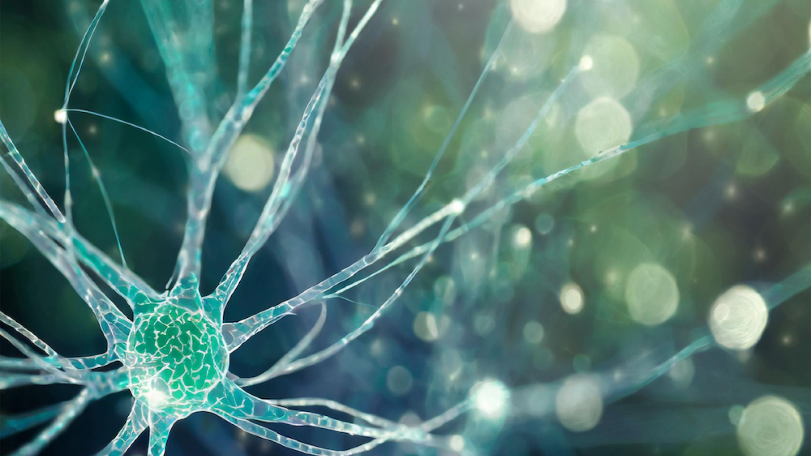 Biomarkers for neurodegeneration diseases main