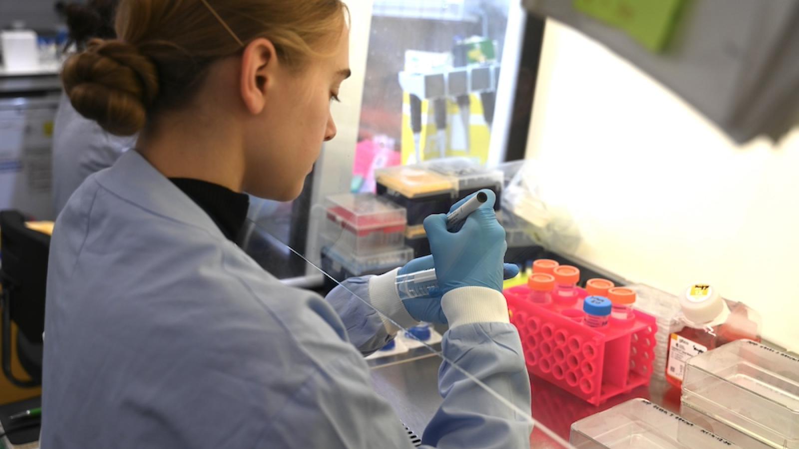 A scientist works in a fume hood