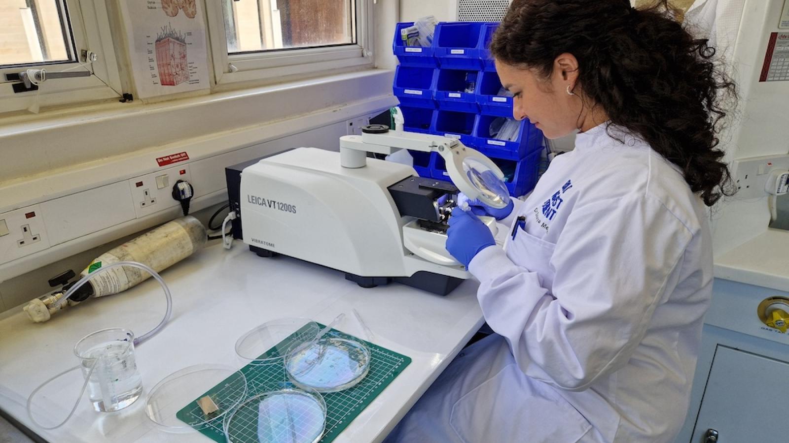 Dr Soraya Meftah preparing human brain tissue with a vibratome to create thin slices.