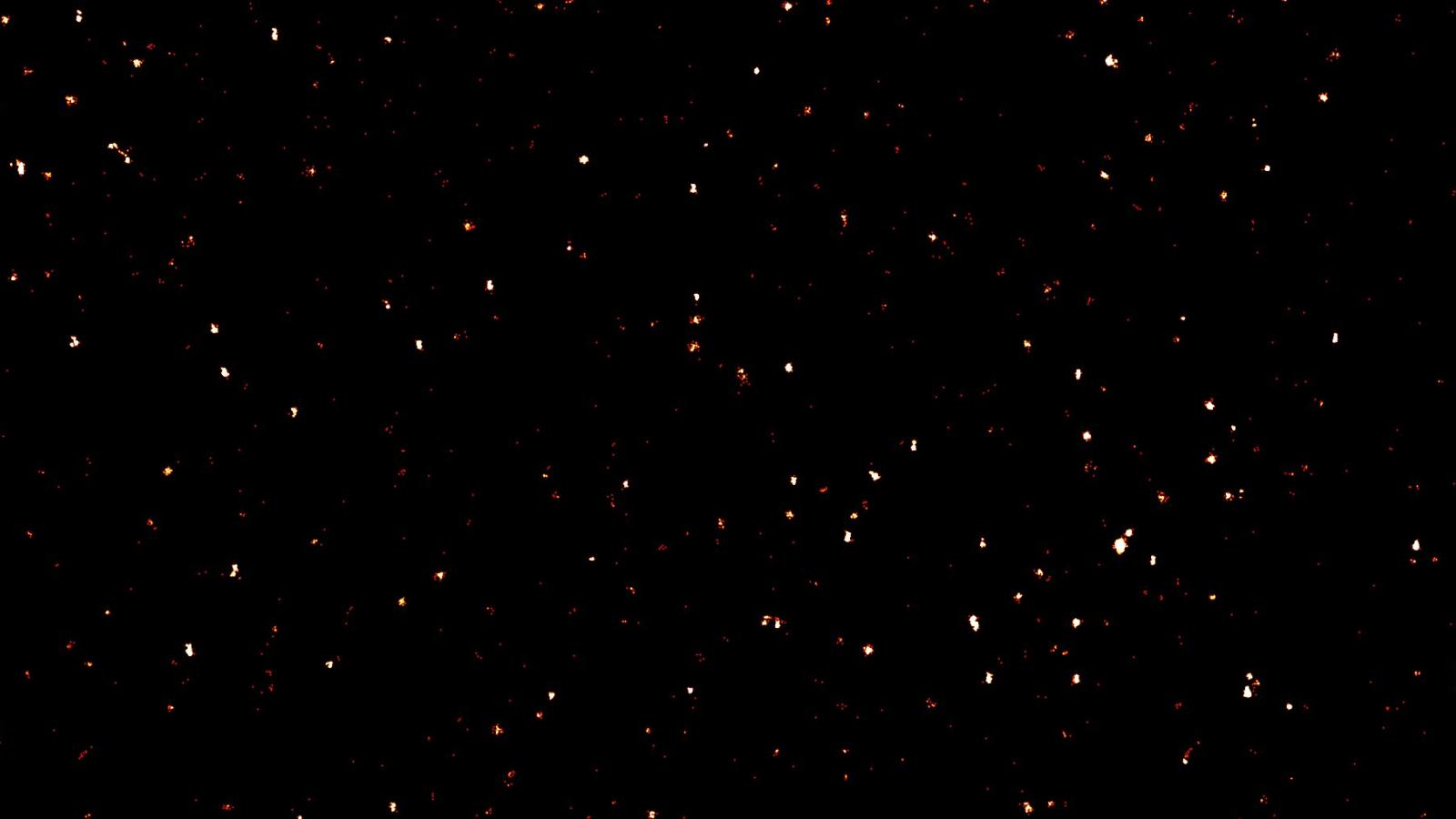 Super-resolution microscopy makes it possible to study protein aggregates in high detail. 