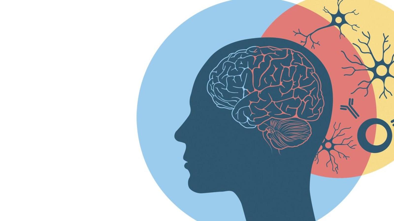 World Immunology day 2025 banner