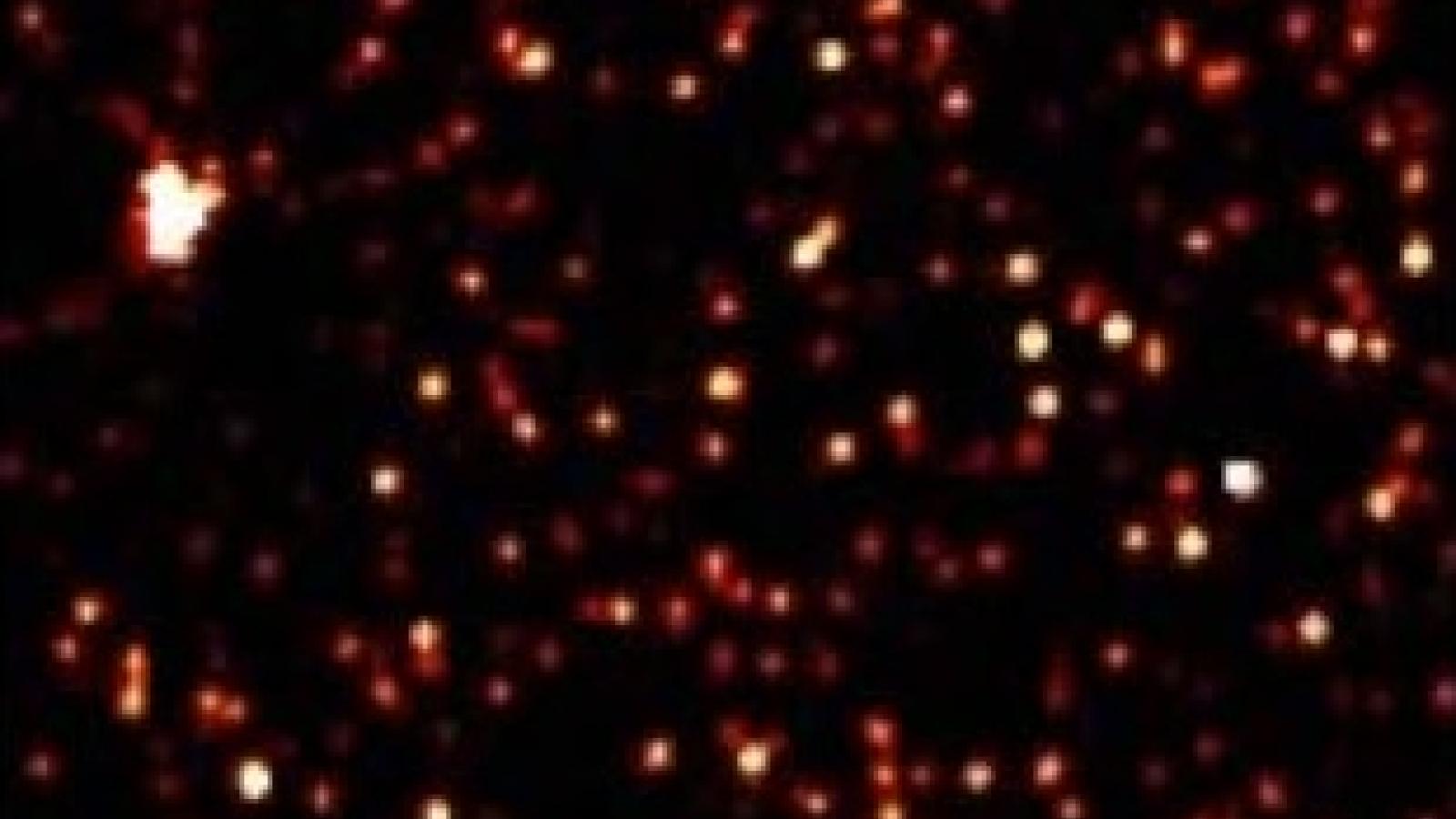 alpha-synuclein aggregates from Parkinson’s brain