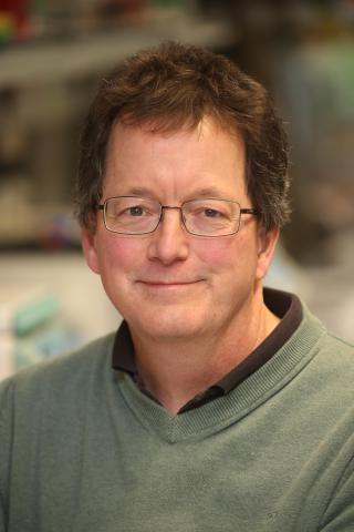 Prof Robert Lahue profile