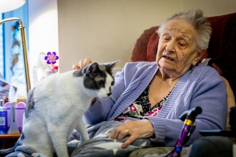 Woman with a cat on her lap