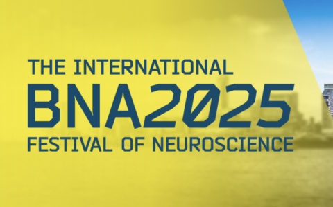 The International BNA2025 Festival of Neuroscience