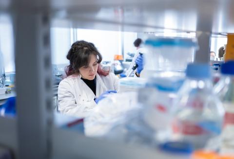 UK DRI at King's lab