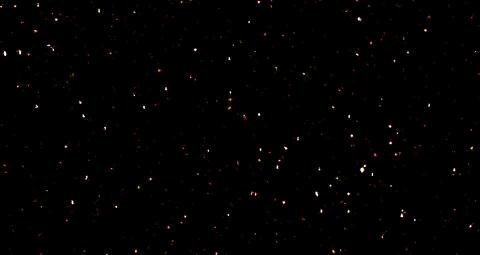 Super-resolution microscopy makes it possible to study protein aggregates in high detail.