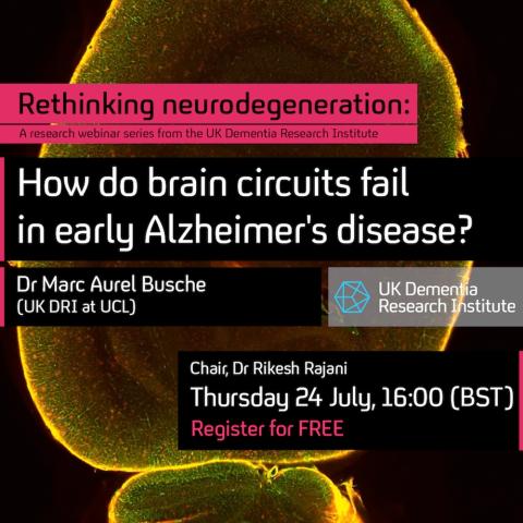 Promotion for webinar on brain circuit failure