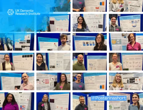 Thumbnails of connectome videos