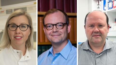 Parkinson's Research Centre group leader photos