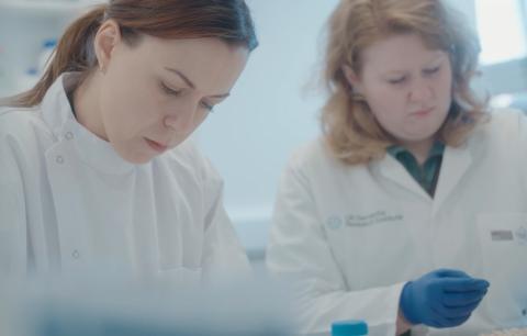 Researchers in the lab