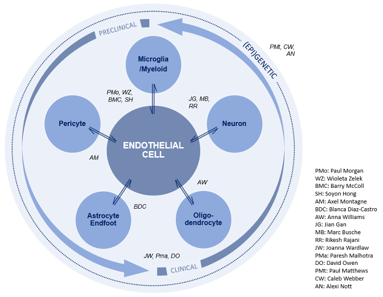 Diagram showing skills in vascular theme