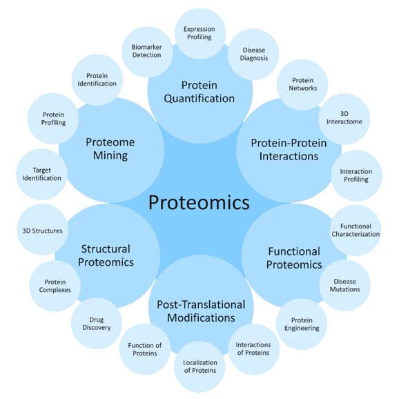 A diagram showing all the ways proteomics can be used