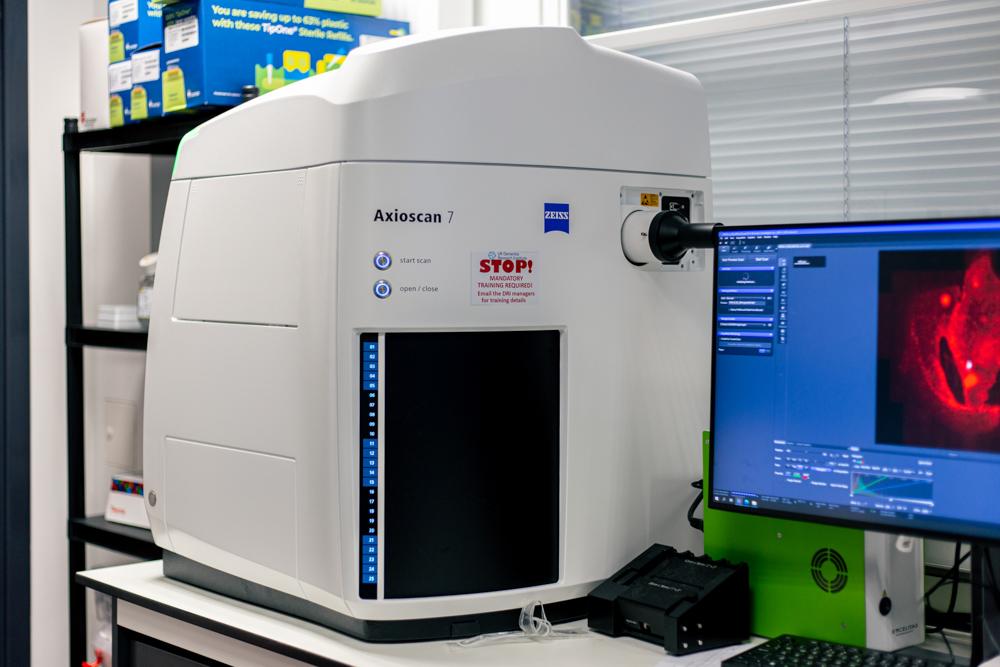 Zeiss Axioscan 7 microscope with computer displaying cellular image.