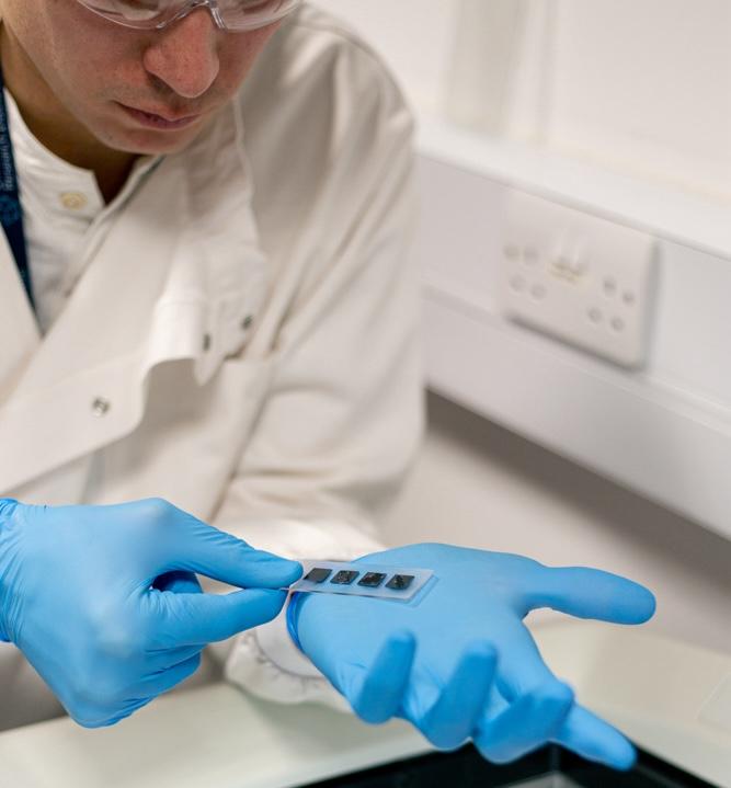 Scientist in blue gloves shows off a microscope slide