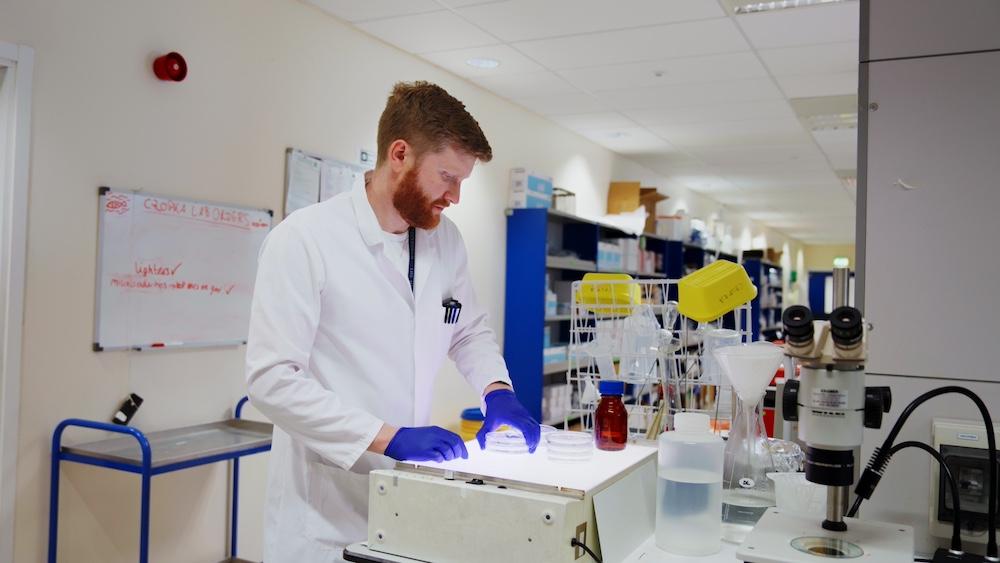 A researcher in a lab coat and gloves works with petri dishes on a brightly lit surface in a laboratory, surrounded by lab equipment and tools.