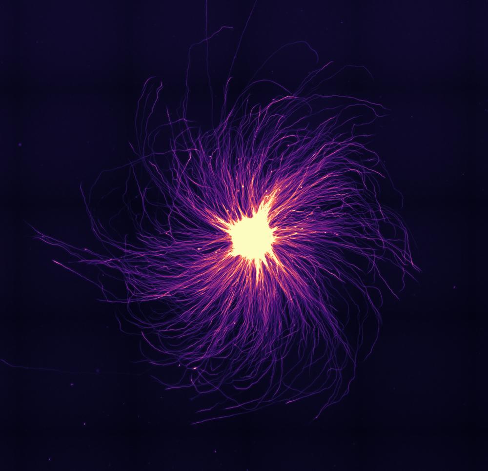 A neuron ipsc cell