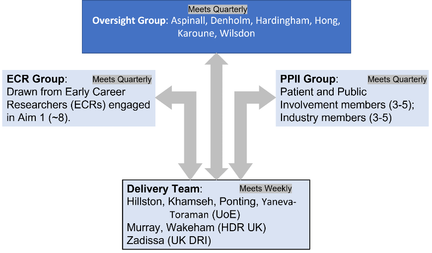 HxC graphic of governance groups