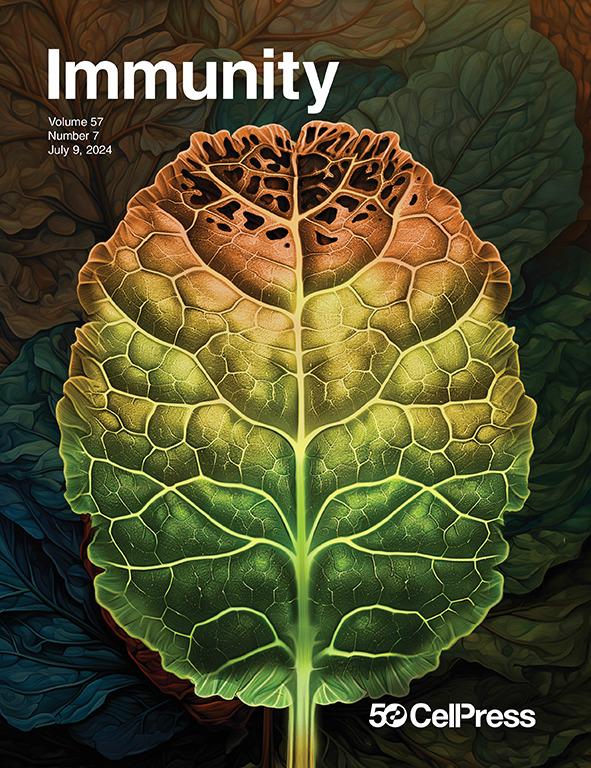 Front cover of journal depicting a browning autumn leaf