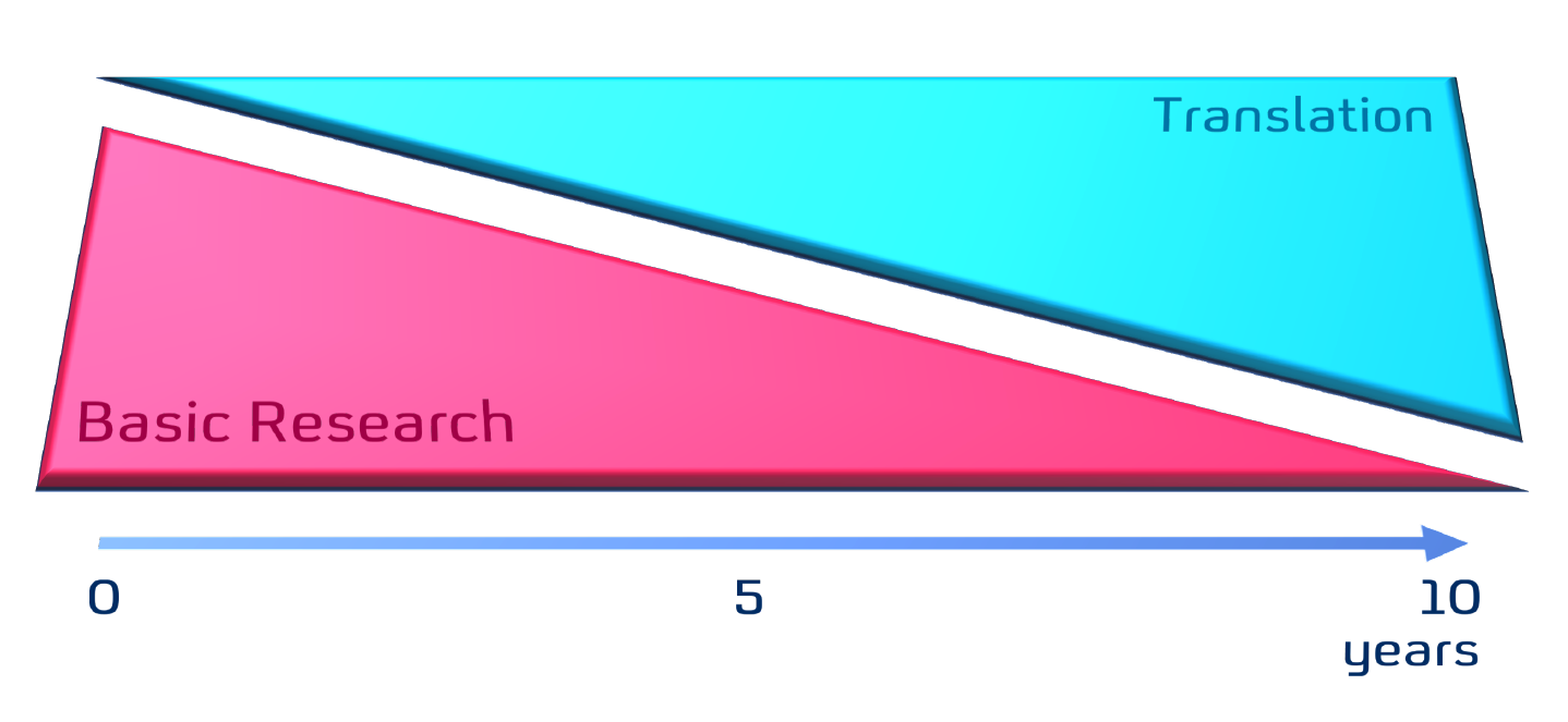 Cropped  Basic Research Translation Wedges