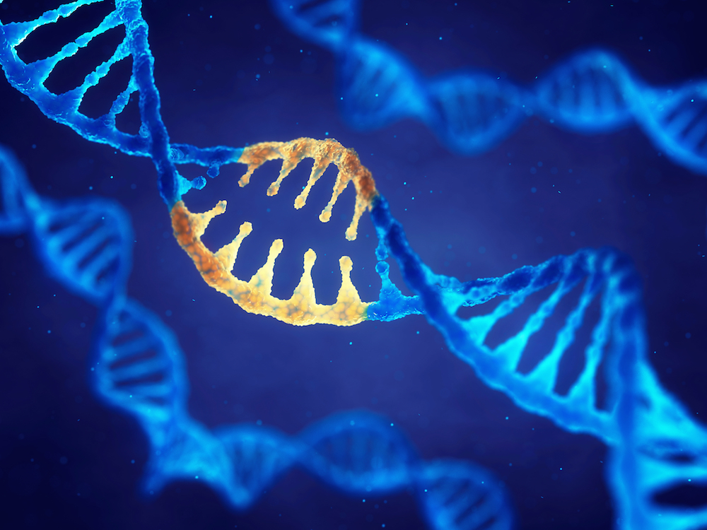 Dna Therapy Shutterstock Nobeatsofierce Red